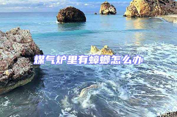 煤氣爐里有蟑螂怎么辦