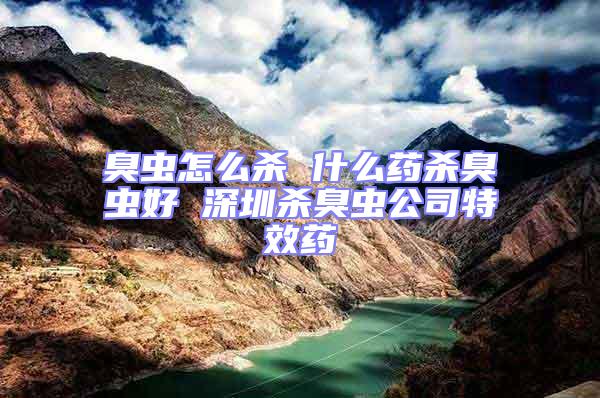 臭蟲怎么殺 什么藥殺臭蟲好 深圳殺臭蟲公司特效藥
