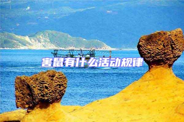 害鼠有什么活動(dòng)規(guī)律
