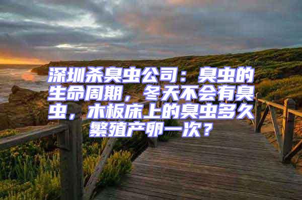 深圳殺臭蟲公司：臭蟲的生命周期，冬天不會有臭蟲，木板床上的臭蟲多久繁殖產卵一次？
