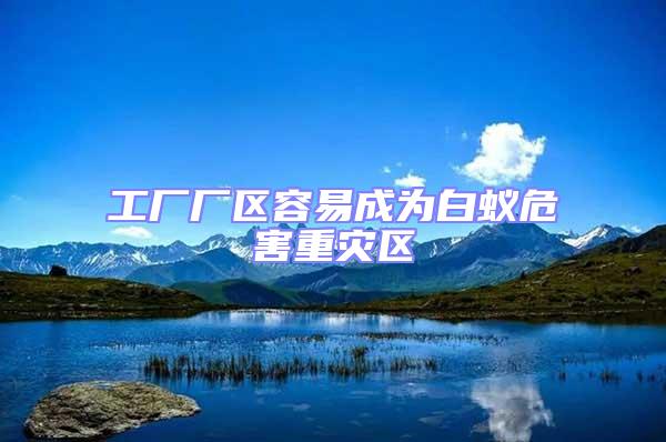 工廠廠區容易成為白蟻危害重災區