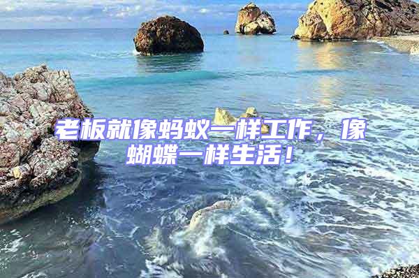 老板就像螞蟻一樣工作，像蝴蝶一樣生活！