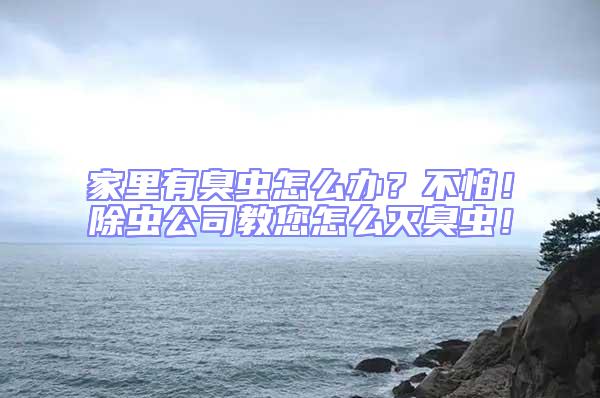 家里有臭蟲怎么辦？不怕！除蟲公司教您怎么滅臭蟲！