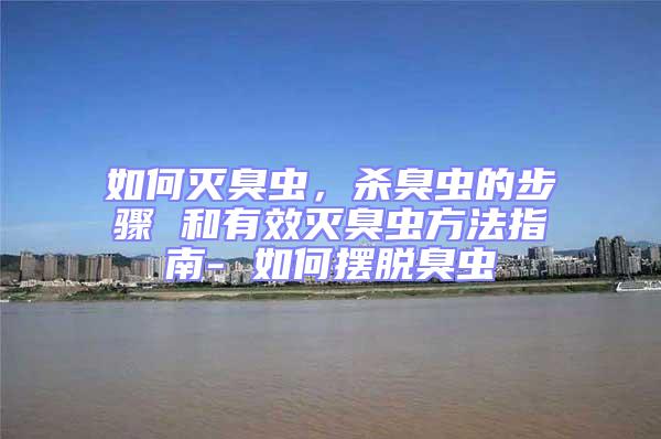 如何滅臭蟲，殺臭蟲的步驟 和有效滅臭蟲方法指南- 如何擺脫臭蟲