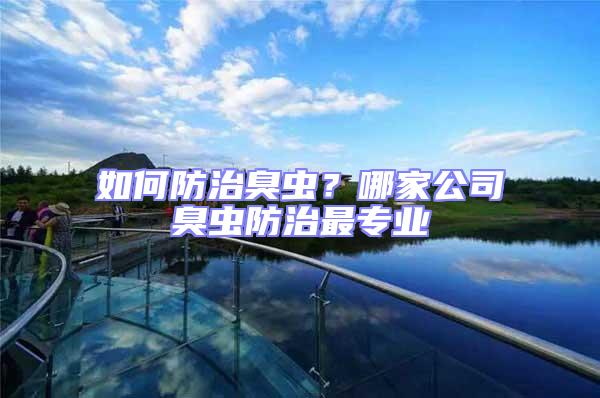 如何防治臭蟲？哪家公司臭蟲防治最專業(yè)