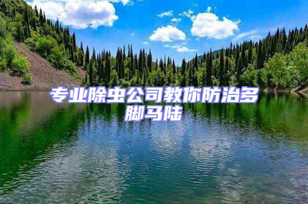 專業除蟲公司教你防治多腳馬陸