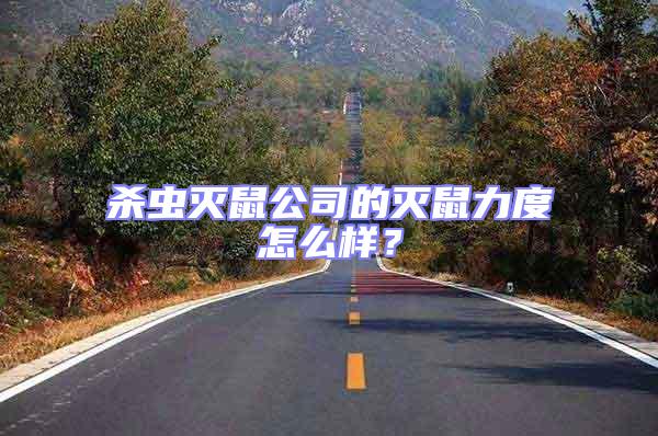 殺蟲滅鼠公司的滅鼠力度怎么樣？