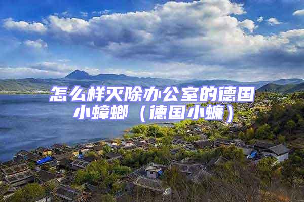 怎么樣滅除辦公室的德國小蟑螂（德國小蠊）