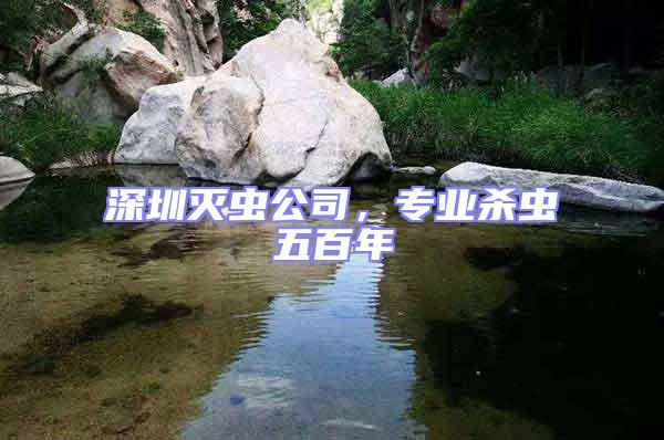 深圳滅蟲公司，專業(yè)殺蟲五百年