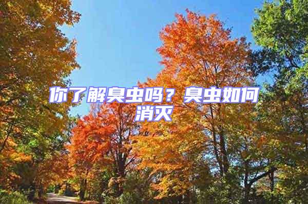 你了解臭蟲嗎？臭蟲如何消滅