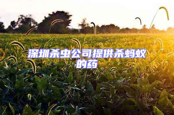 深圳殺蟲公司提供殺螞蟻的藥