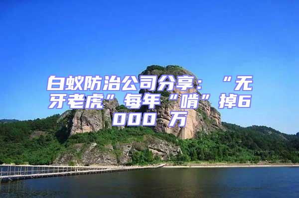 白蟻防治公司分享：“無(wú)牙老虎”每年“啃”掉6000 萬(wàn)