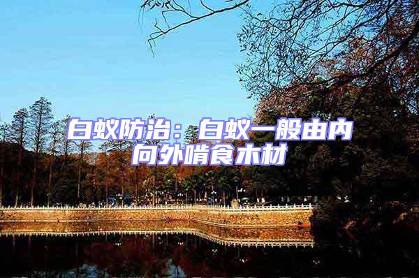 白蟻防治：白蟻一般由內向外啃食木材