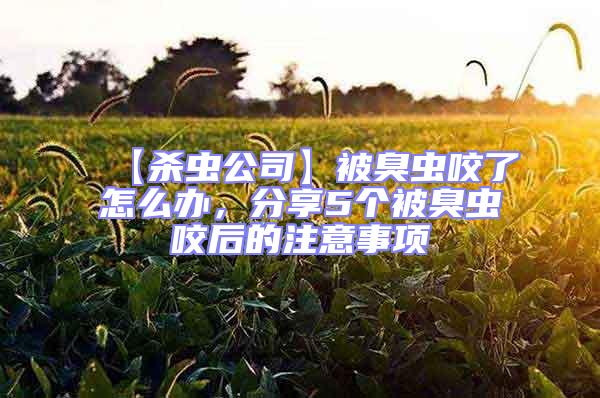 【殺蟲公司】被臭蟲咬了怎么辦，分享5個被臭蟲咬后的注意事項