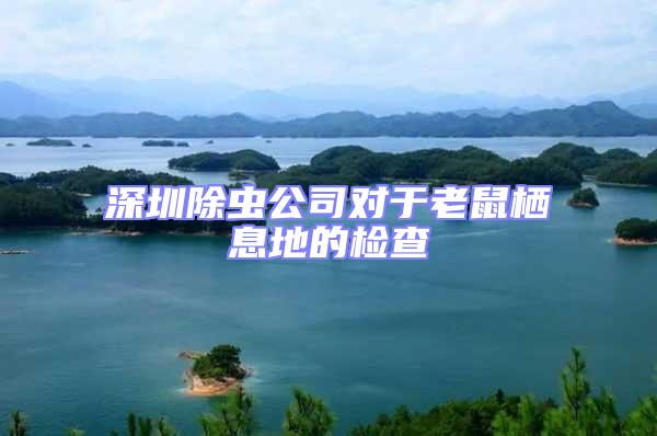 深圳除蟲公司對于老鼠棲息地的檢查
