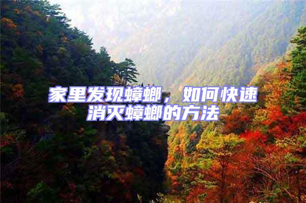 家里發現蟑螂，如何快速消滅蟑螂的方法