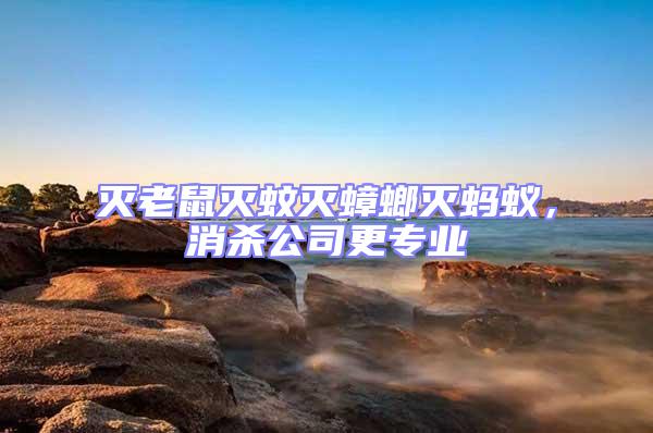 滅老鼠滅蚊滅蟑螂滅螞蟻，消殺公司更專業