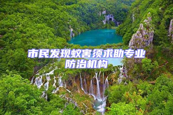 市民發現蟻害須求助專業防治機構