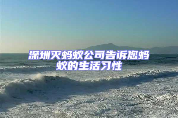 深圳滅螞蟻公司告訴您螞蟻的生活習(xí)性