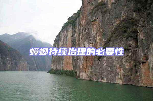 蟑螂持續治理的必要性
