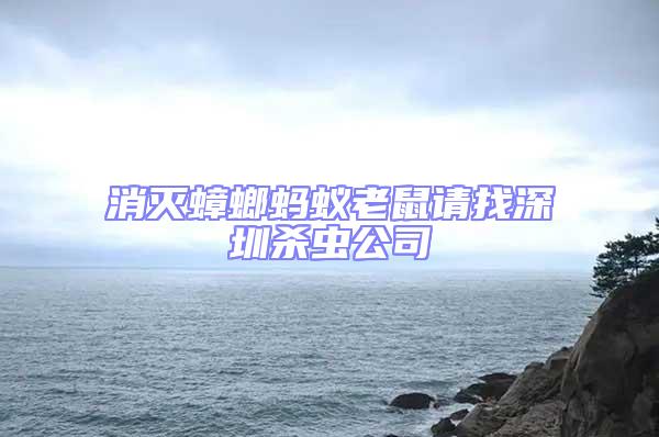 消滅蟑螂螞蟻老鼠請找深圳殺蟲公司