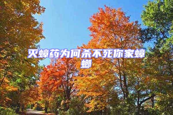 滅蟑藥為何殺不死你家蟑螂