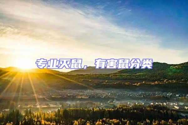 專業(yè)滅鼠，有害鼠分類