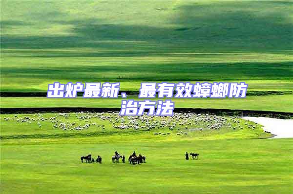出爐最新、最有效蟑螂防治方法