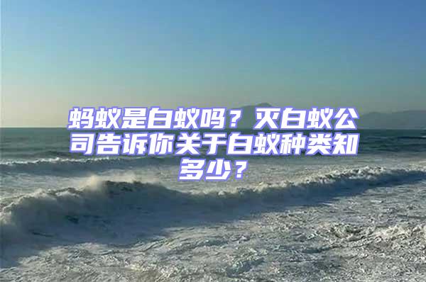 螞蟻是白蟻嗎？滅白蟻公司告訴你關于白蟻種類知多少？