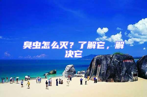 臭蟲怎么滅？了解它，解決它