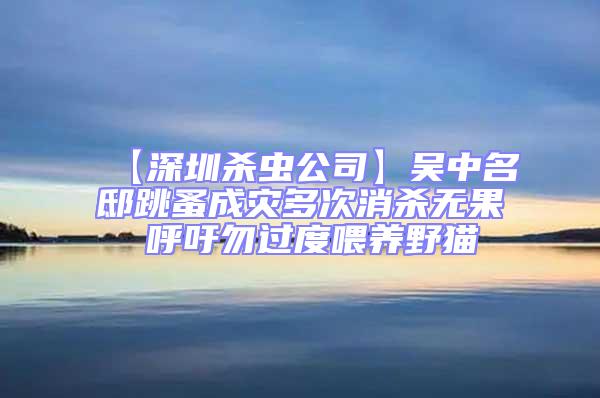 【深圳殺蟲公司】吳中名邸跳蚤成災多次消殺無果 呼吁勿過度喂養野貓