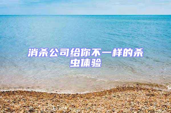 消殺公司給你不一樣的殺蟲體驗