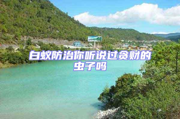白蟻防治你聽說過貪財?shù)南x子嗎