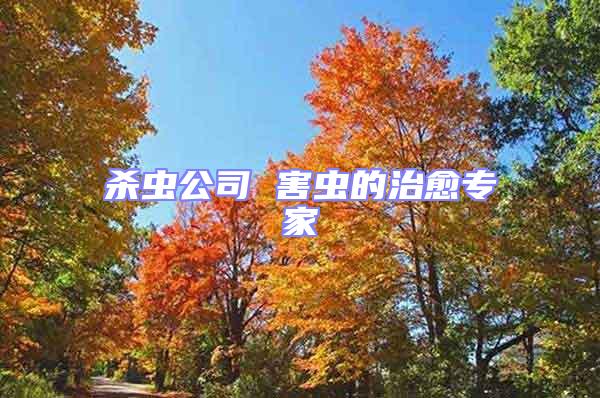 殺蟲公司 害蟲的治愈專家