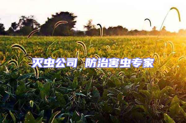 滅蟲公司 防治害蟲專家