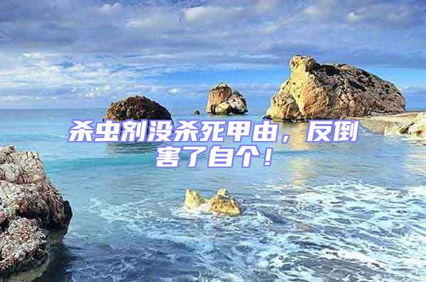 殺蟲劑沒殺死甲由，反倒害了自個！