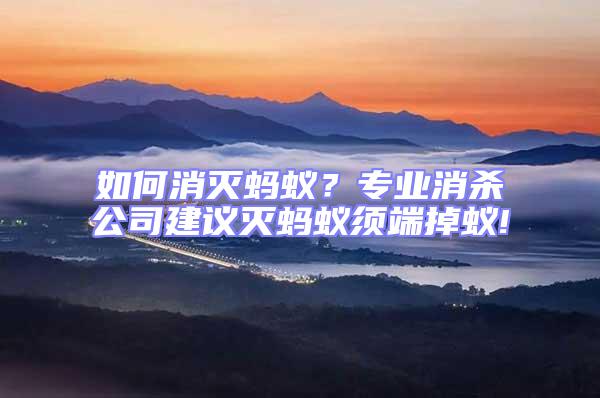 如何消滅螞蟻？專業消殺公司建議滅螞蟻須端掉蟻!