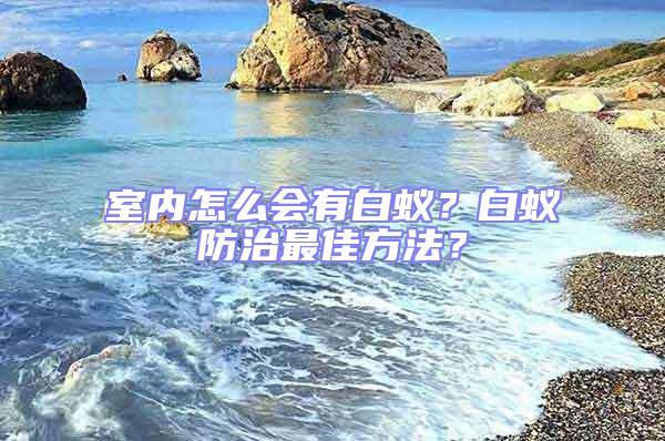 室內怎么會有白蟻？白蟻防治最佳方法？