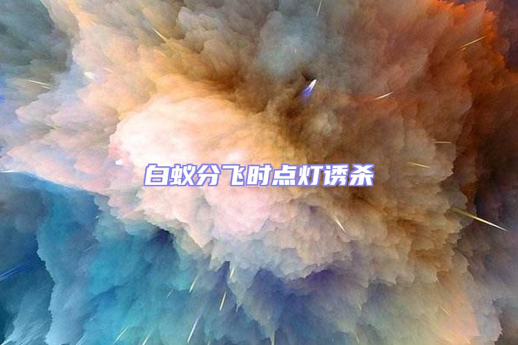 白蟻分飛時點燈誘殺