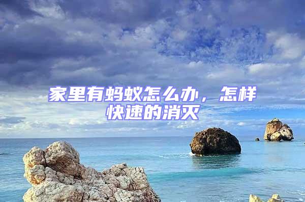 家里有螞蟻怎么辦，怎樣快速的消滅