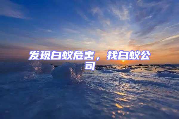發現白蟻危害，找白蟻公司