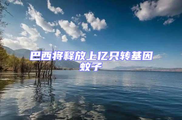 巴西將釋放上億只轉基因蚊子