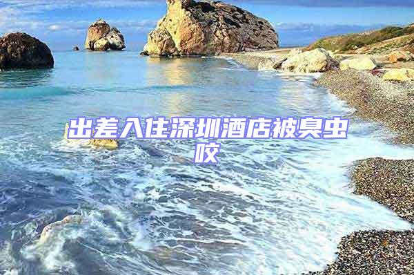出差入住深圳酒店被臭蟲咬