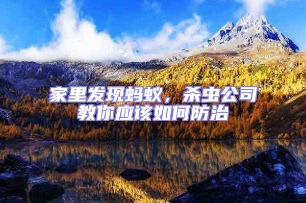 家里發(fā)現(xiàn)螞蟻，殺蟲公司教你應(yīng)該如何防治