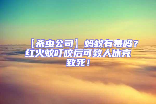 【殺蟲公司】螞蟻有毒嗎？紅火蟻叮咬后可致人休克致死！