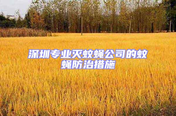 深圳專業(yè)滅蚊蠅公司的蚊蠅防治措施
