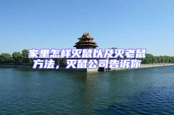 家里怎樣滅鼠以及滅老鼠方法，滅鼠公司告訴你