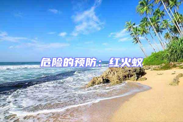 危險的預防：紅火蟻