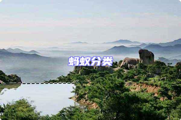 螞蟻分類