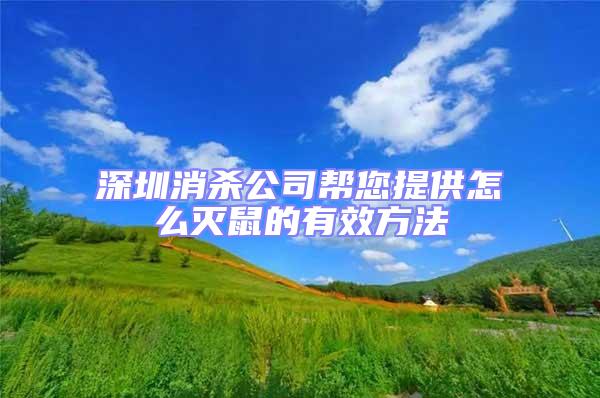 深圳消殺公司幫您提供怎么滅鼠的有效方法